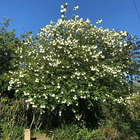 Dom wakacyjny La Maison Des Pecheurs Saint-Pierre-du-Vauvray