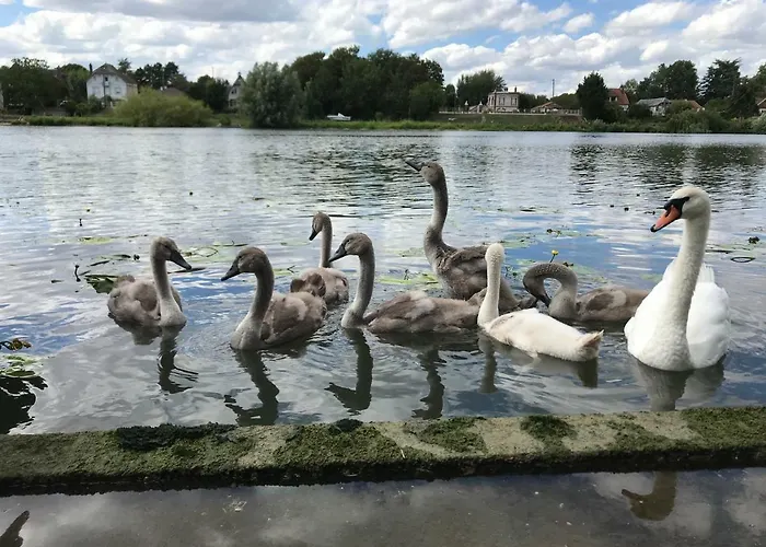 La Maison Des Pecheurs Saint-Pierre-du-Vauvray